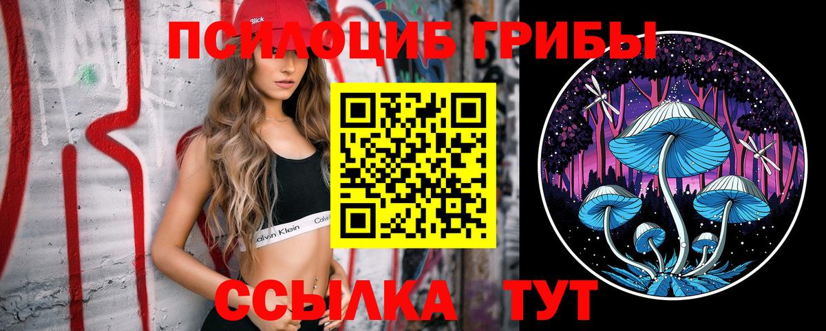 Псилоцибиновые грибы GOLDEN TEACHER Магнитогорск