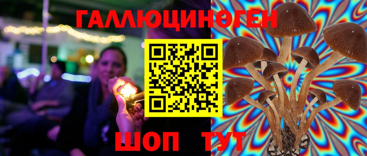 Псилоцибиновые грибы мицелий  Вход с VPN  Магнитогорск  Галлюциногенные грибы мухоморы 
