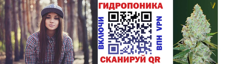 mega ТОР  где продают наркотики  Магнитогорск  Канабис семена 